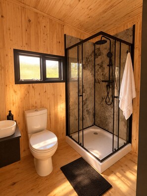 A wooden cabin bathroom with a toilet, sink, and glass-enclosed shower. - River and Ridge (Tierpoort)