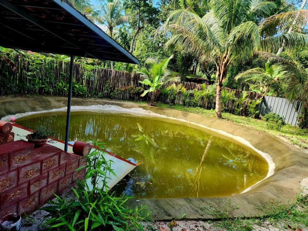 Una piscina con borde de ladrillo, rodeada de exuberante vegetación y palmeras.