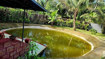Una piscina con borde de ladrillo, rodeada de exuberante vegetación y palmeras.