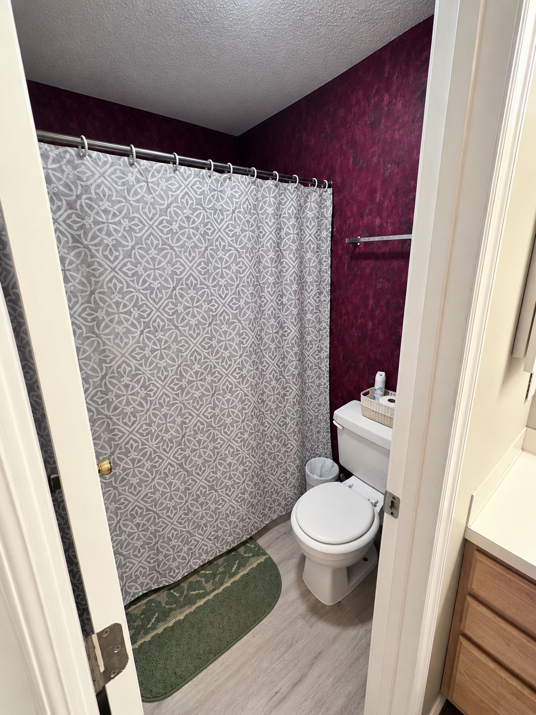 A bathroom with a patterned shower curtain, a toilet, and a small sink area.