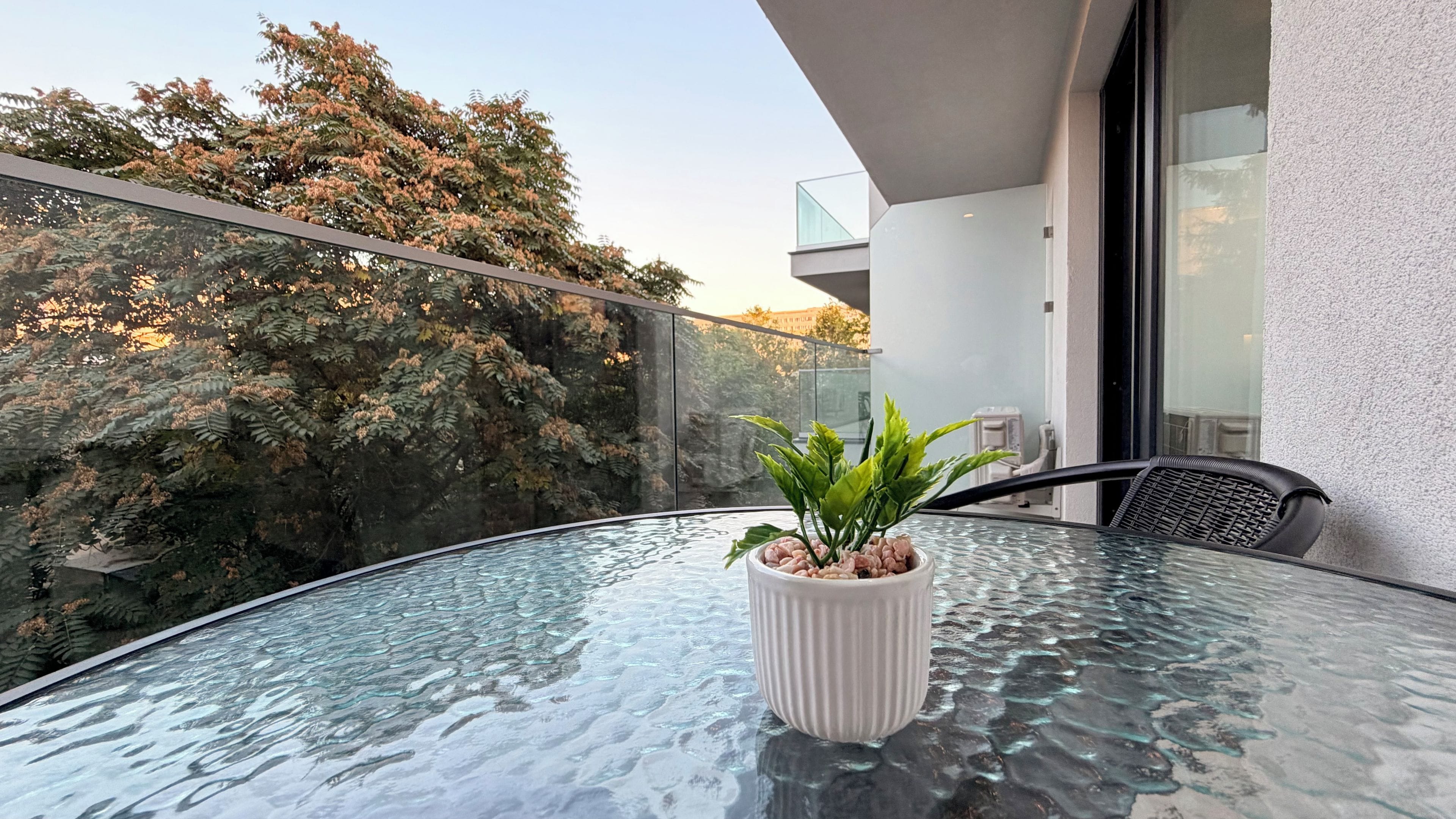 A glass table with a potted plant on a balcony with a view of trees and a building.
