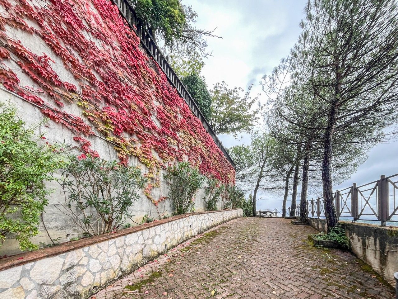 A stone pathway leading to a building with a wall covered in red foliage.