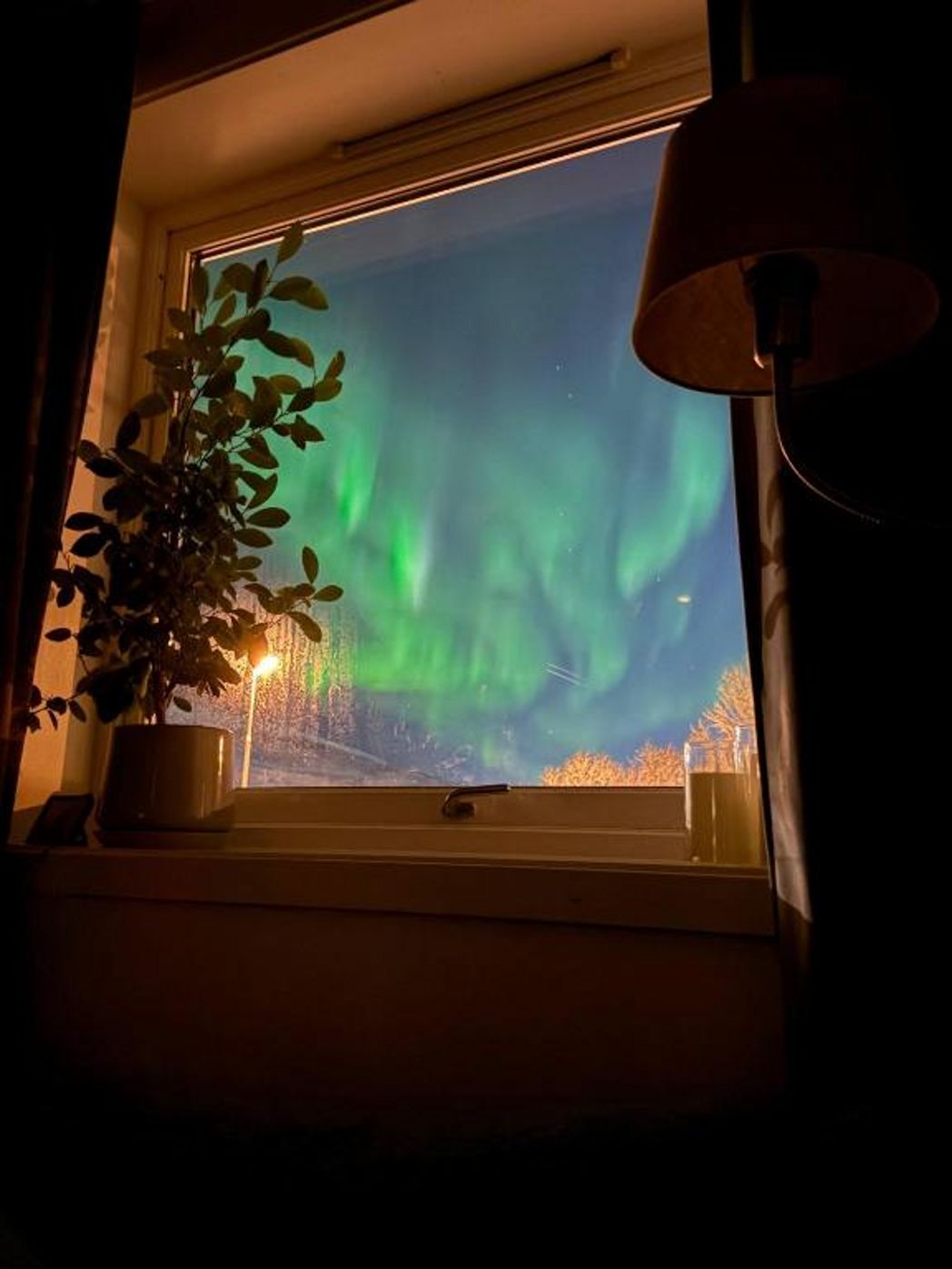 A window with a view of the aurora borealis.