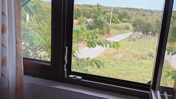 A window with a view of a grassy landscape and trees.