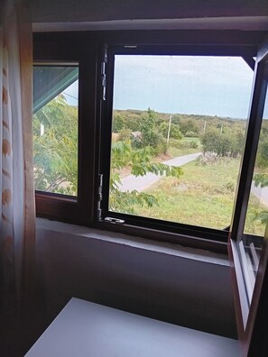 A window with a view of a grassy landscape and trees.