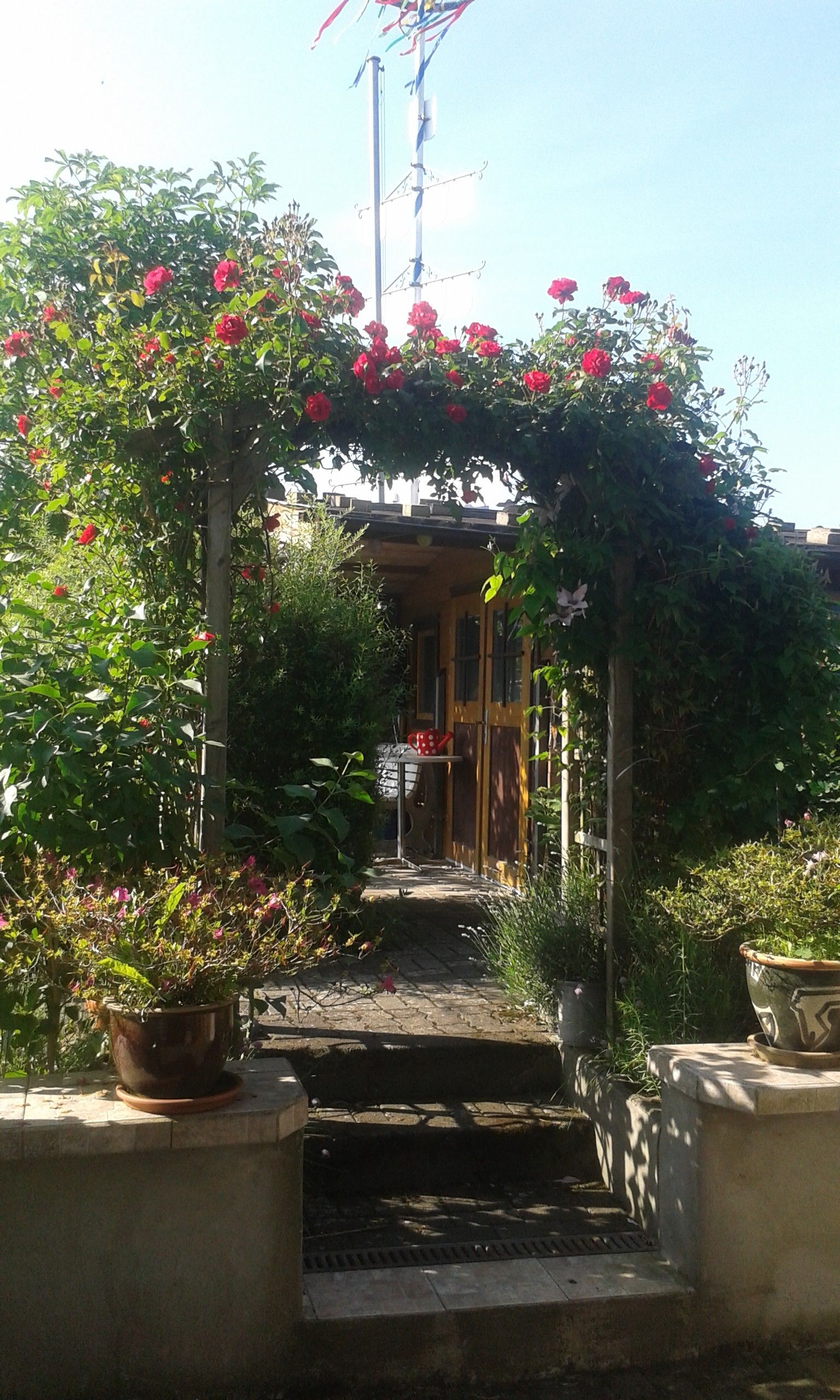 Un sendero de jardín que conduce a la entrada de un edificio, rodeado de macetas con plantas y una pérgola cubierta de enredaderas.