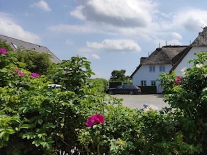 A residential area with houses, a car, and lush greenery. - Deichhof Apt. 21 (Dunsum)