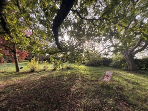 A garden with a wooden easel and a painting, surrounded by trees and grass. - Normandy farmhouse with a fireplace and a 2,800 m² enclosed garden. Pets welcome (Heudicourt)