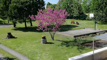 Un parco con un campo da basket, un piccolo trenino rosso e un albero con fiori rosa.