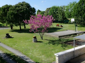 A park with a basketball court, a small red train, and a tree with pink flowers.