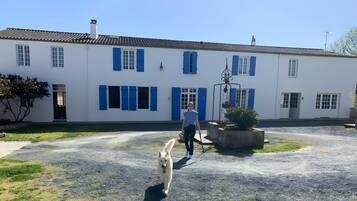 Une personne promène un chien sur un chemin de gravier devant un bâtiment blanc aux volets bleus.