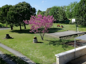 Un parc avec un terrain de basket, un petit train rouge et un arbre aux fleurs roses.