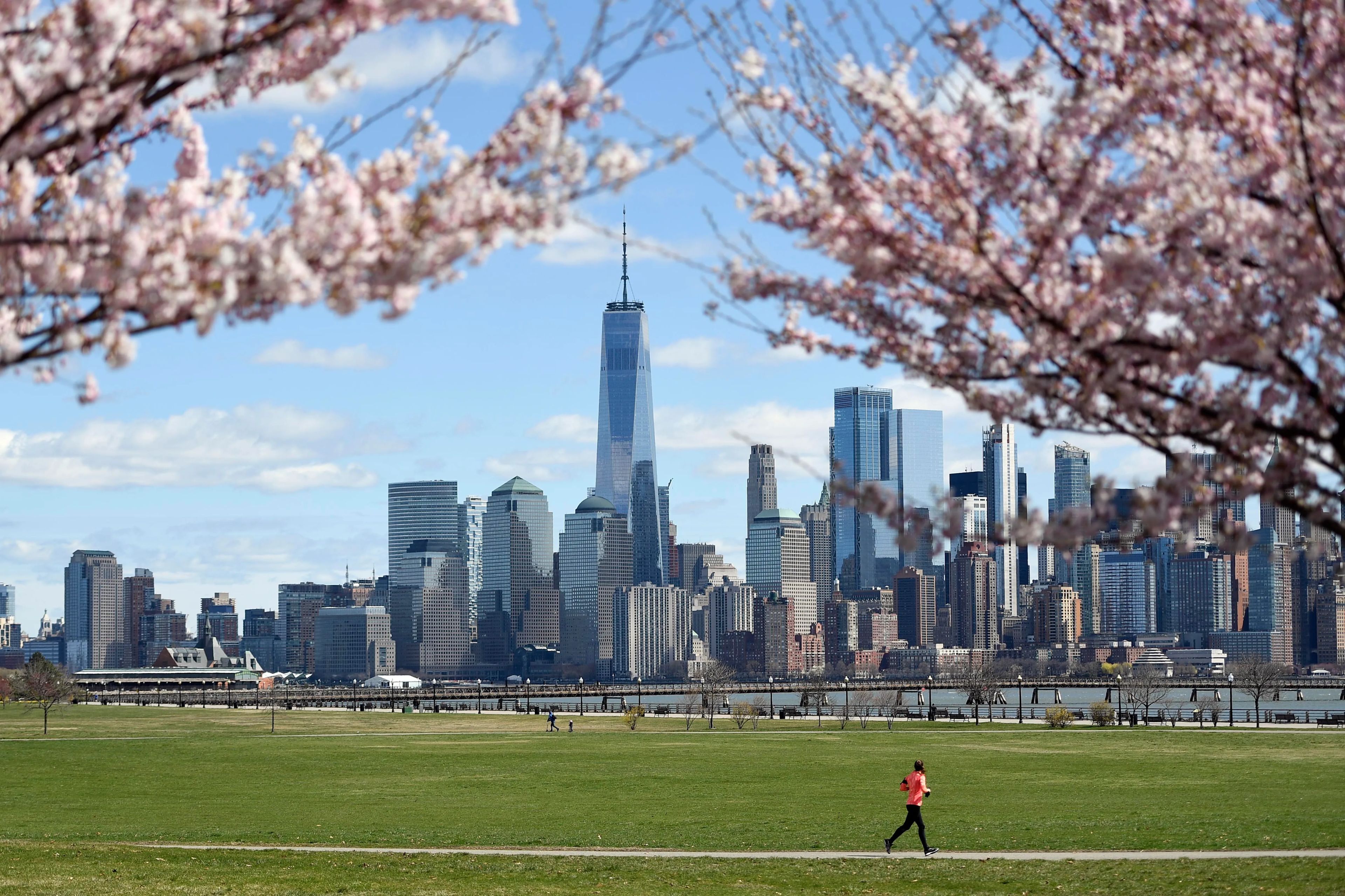 Ein Park mit einer Stadtlandschaft im Hintergrund.