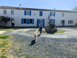 Une personne promène un chien sur un chemin de gravier devant un bâtiment blanc aux volets bleus.