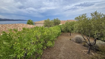 Un sendero en un jardín que lleva a un edificio con tejado de tejas, rodeado de vegetación y vistas al mar.