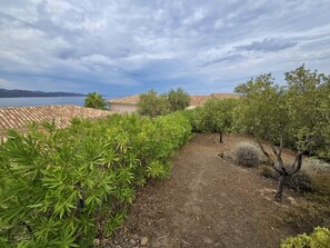 Un sendero en un jardín que lleva a un edificio con tejado de tejas, rodeado de vegetación y vistas al mar.