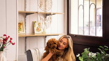 A room with a large window, a bookshelf, a dreamcatcher, and a potted plant.