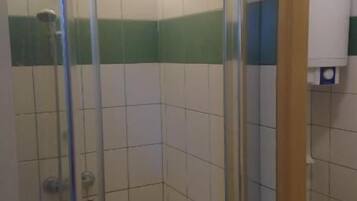 Zona de ducha con puerta de vidrio, paredes de azulejos y un inodoro visible en la habitación contigua.