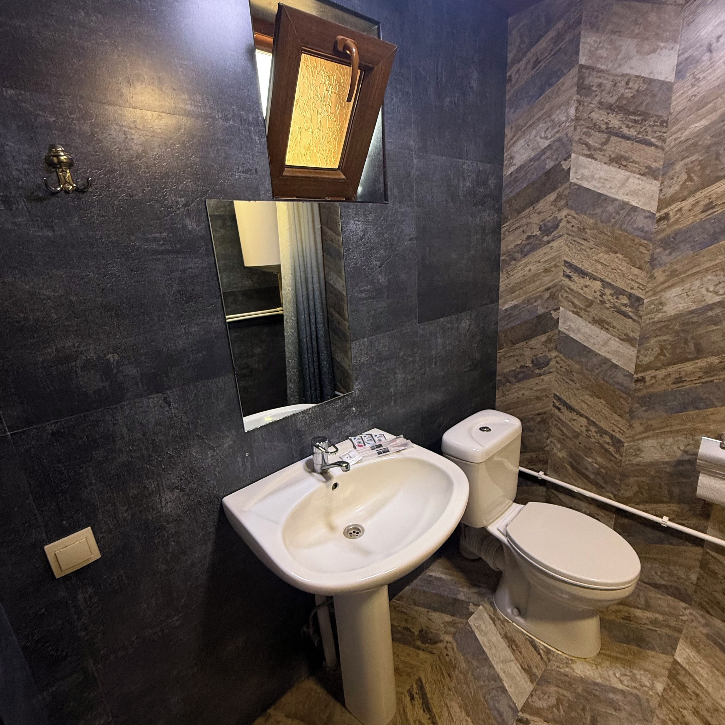 A bathroom with a white sink, a toilet, and a mirror.