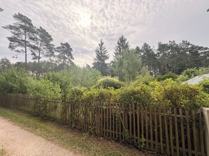A dirt path alongside a wooden fence with dense greenery and trees in the background. - A Swedish-style house with a sunny, wooded garden, near Lakes Stechlin and Dagow. (Stechlin)