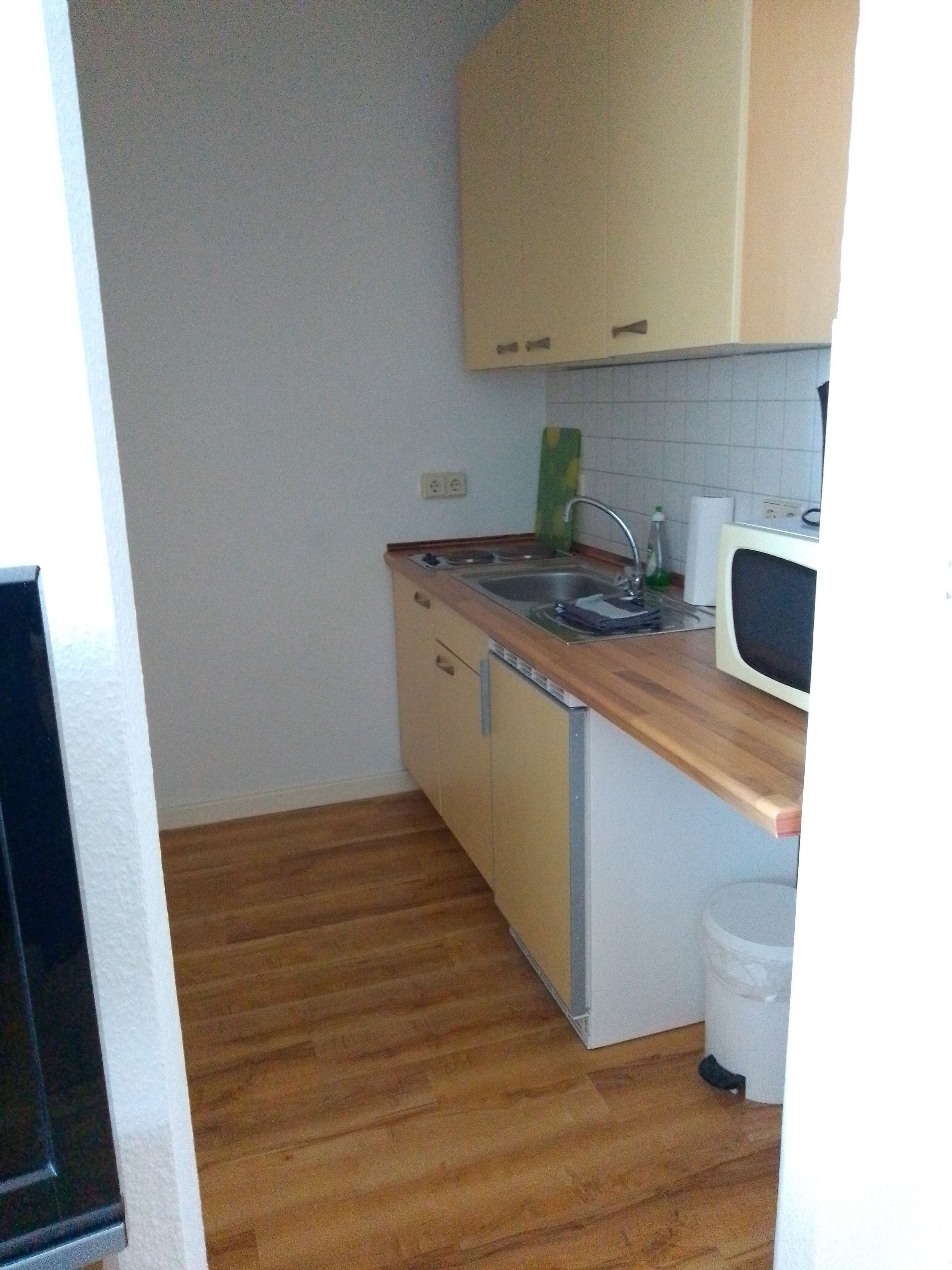 A compact kitchen with wooden flooring, a built-in dishwasher, and a microwave.