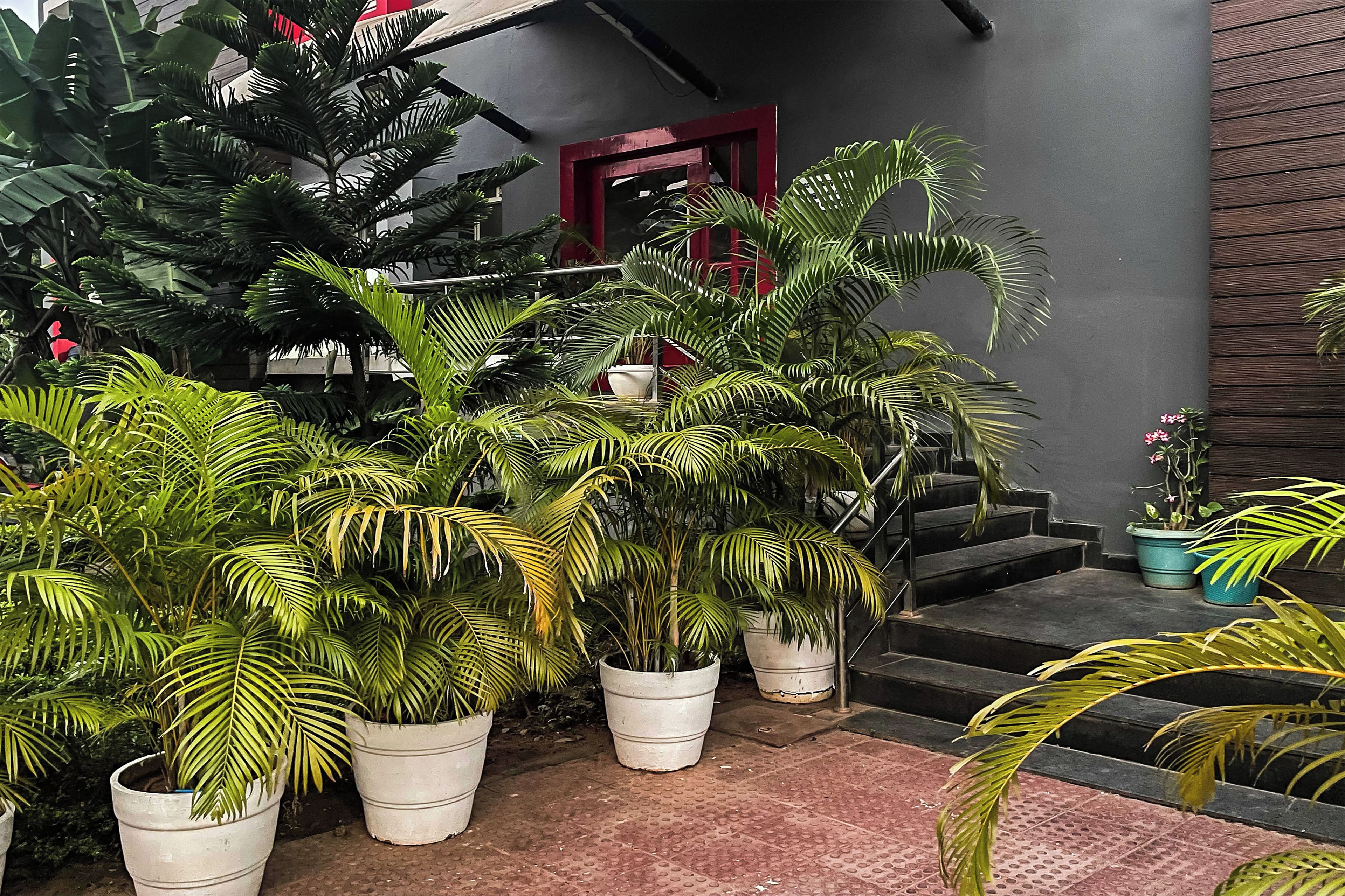 A staircase with potted plants, a red door, and a grey wall.