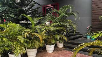 A staircase with potted plants, a red door, and a grey wall.