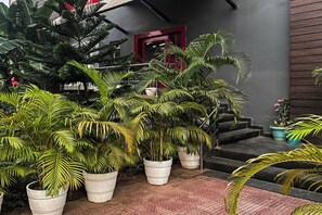 A staircase with potted plants, a red door, and a grey wall. - Townhouse Swain Heritage (Bhubaneshwar)