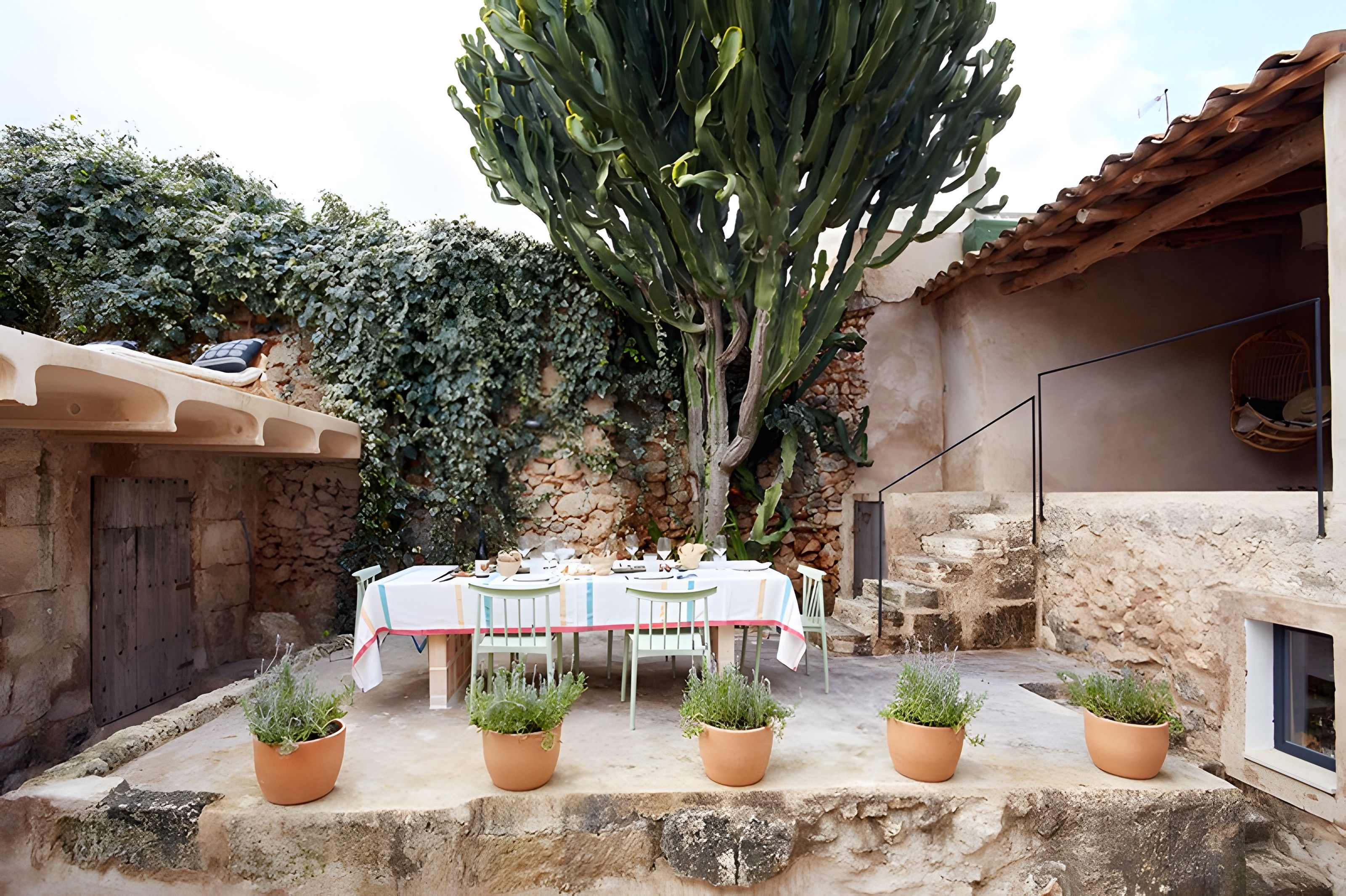 An outdoor dining area with a table set for four, surrounded by potted plants and a large cactus.