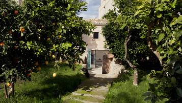 Un sendero conduce a un edificio rodeado de vegetación exuberante y árboles frutales.