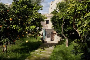 Un chemin menant à un bâtiment entouré d’une végétation luxuriante et d’arbres fruitiers.