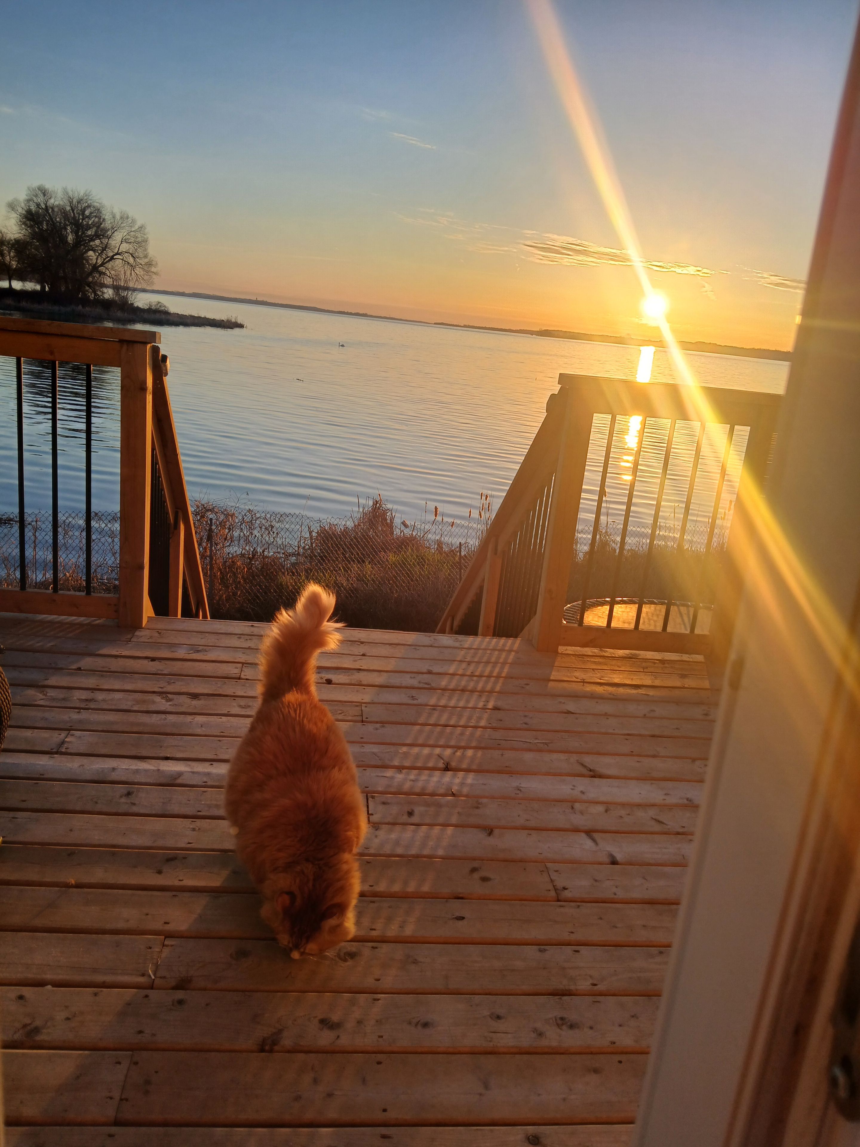 A wooden deck with a view of a calm body of water during sunset.