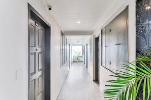 Un passadís amb portes a banda i banda, una planta en test amuntegant a la dreta, i una vista d'una habitació al final.