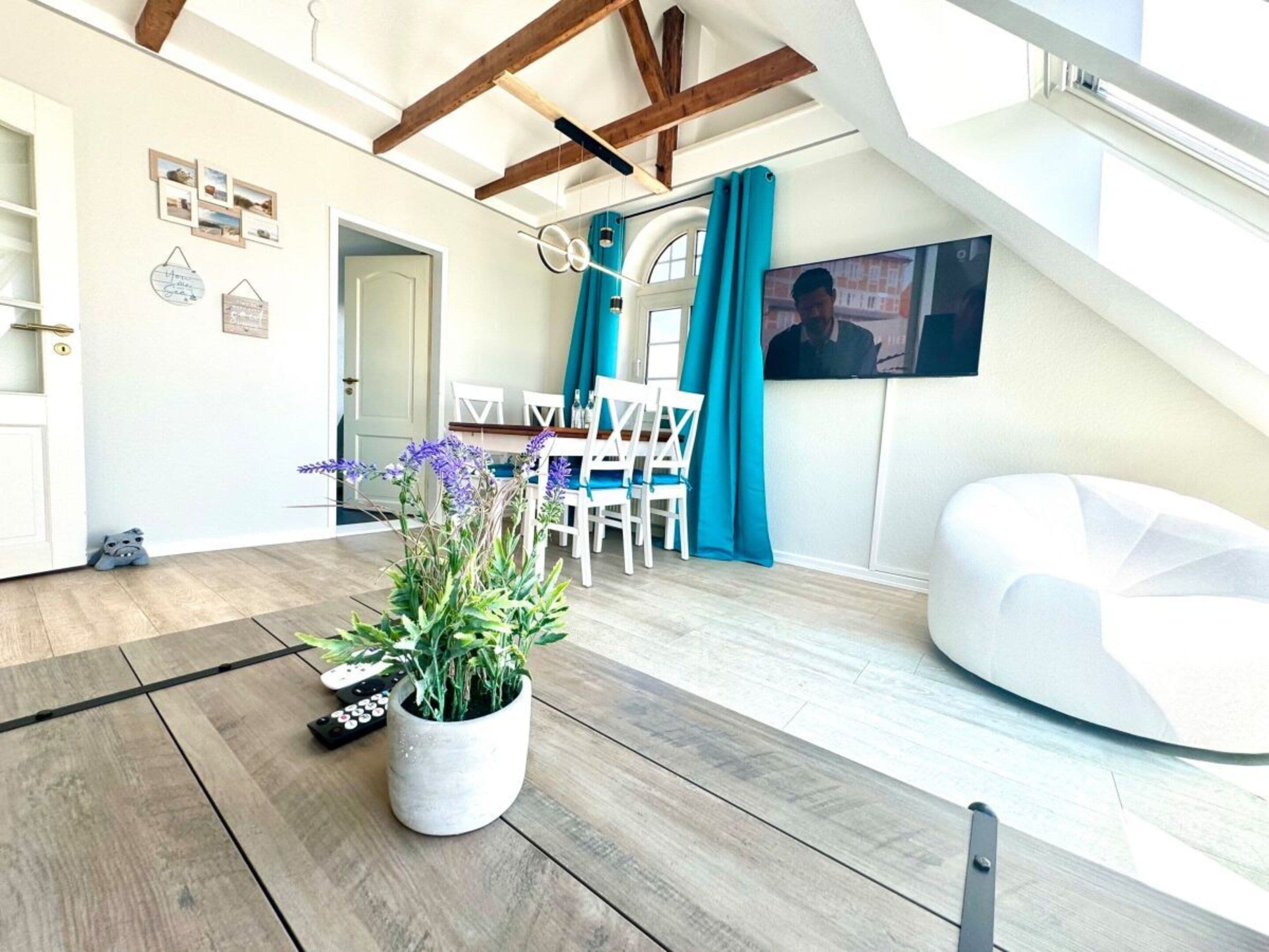 A modern living room with a white sofa, a dining area with blue chairs, a potted plant, and a TV mounted on the wall.