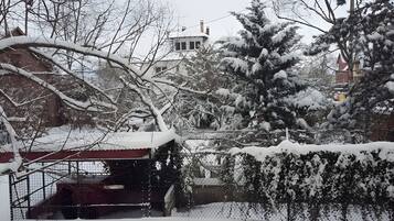 Un quartier résidentiel où les arbres sont couverts de neige et où se trouve une maison avec un toit rouge.
