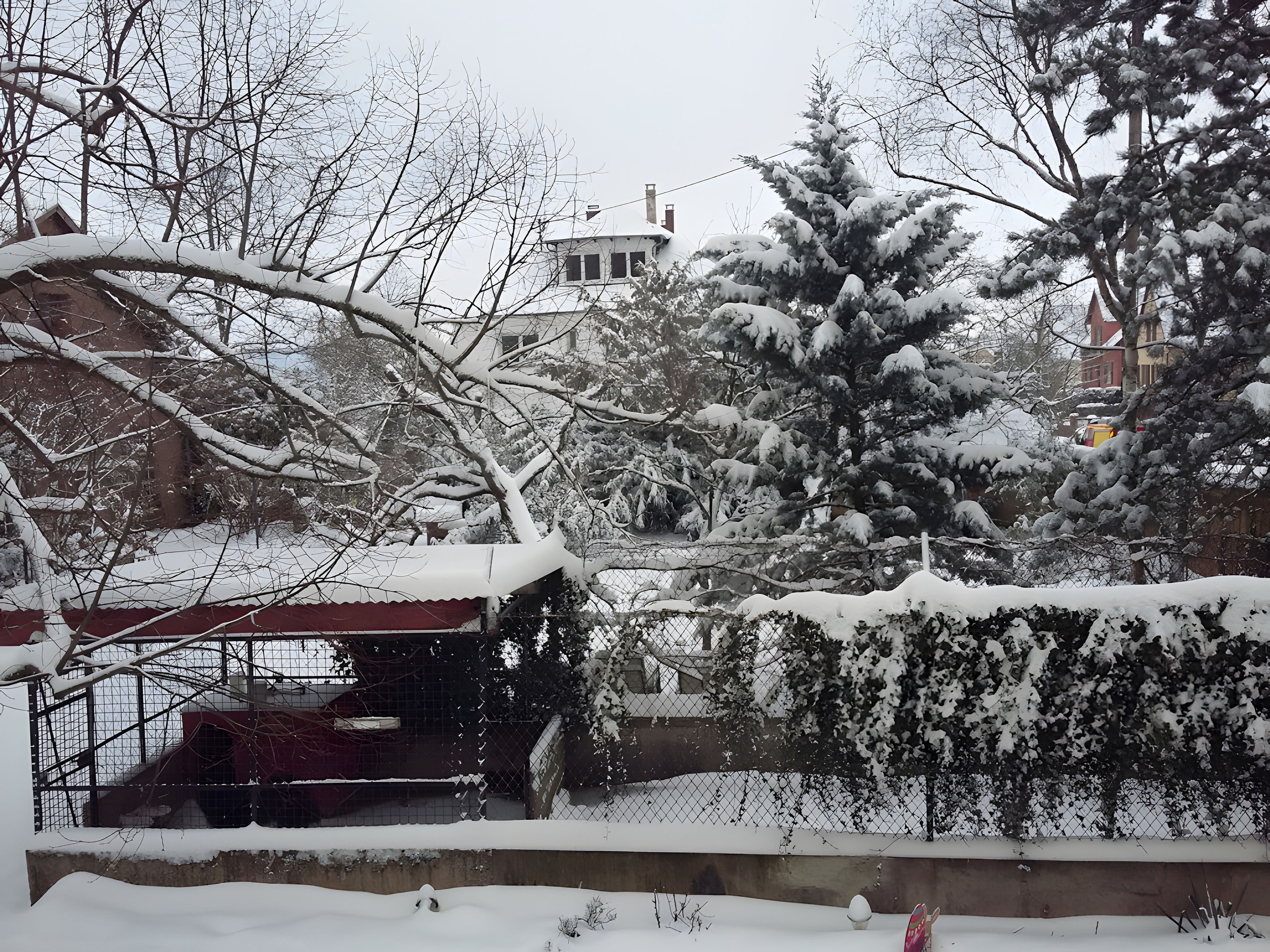 Un quartier résidentiel où les arbres sont couverts de neige et où se trouve une maison avec un toit rouge.