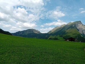 A grassy field with a mountain range in the background and a small wooden structure. - Apartment 'Waldtraum - Waldflüstern' with Mountain View, Terrace, Opening December 2026 (Au)