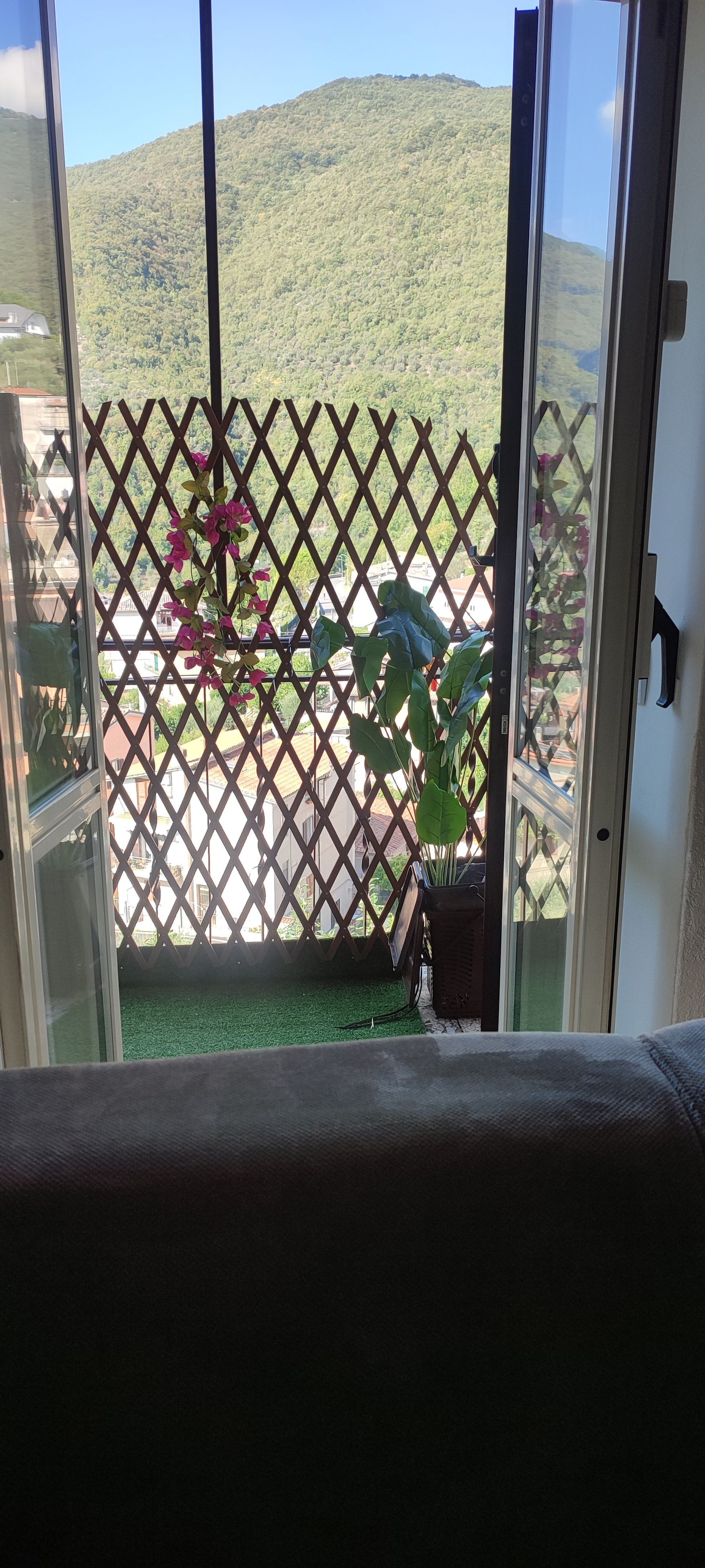 A view through a glass door with a lattice screen, a green artificial turf, and a potted plant.