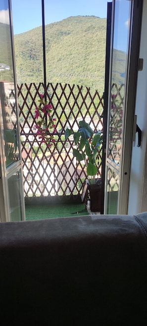 A view through a glass door with a lattice screen, a green artificial turf, and a potted plant.