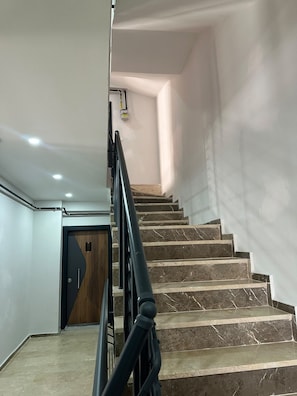 A staircase with marble steps and a black handrail, leading to a door with a wooden panel.