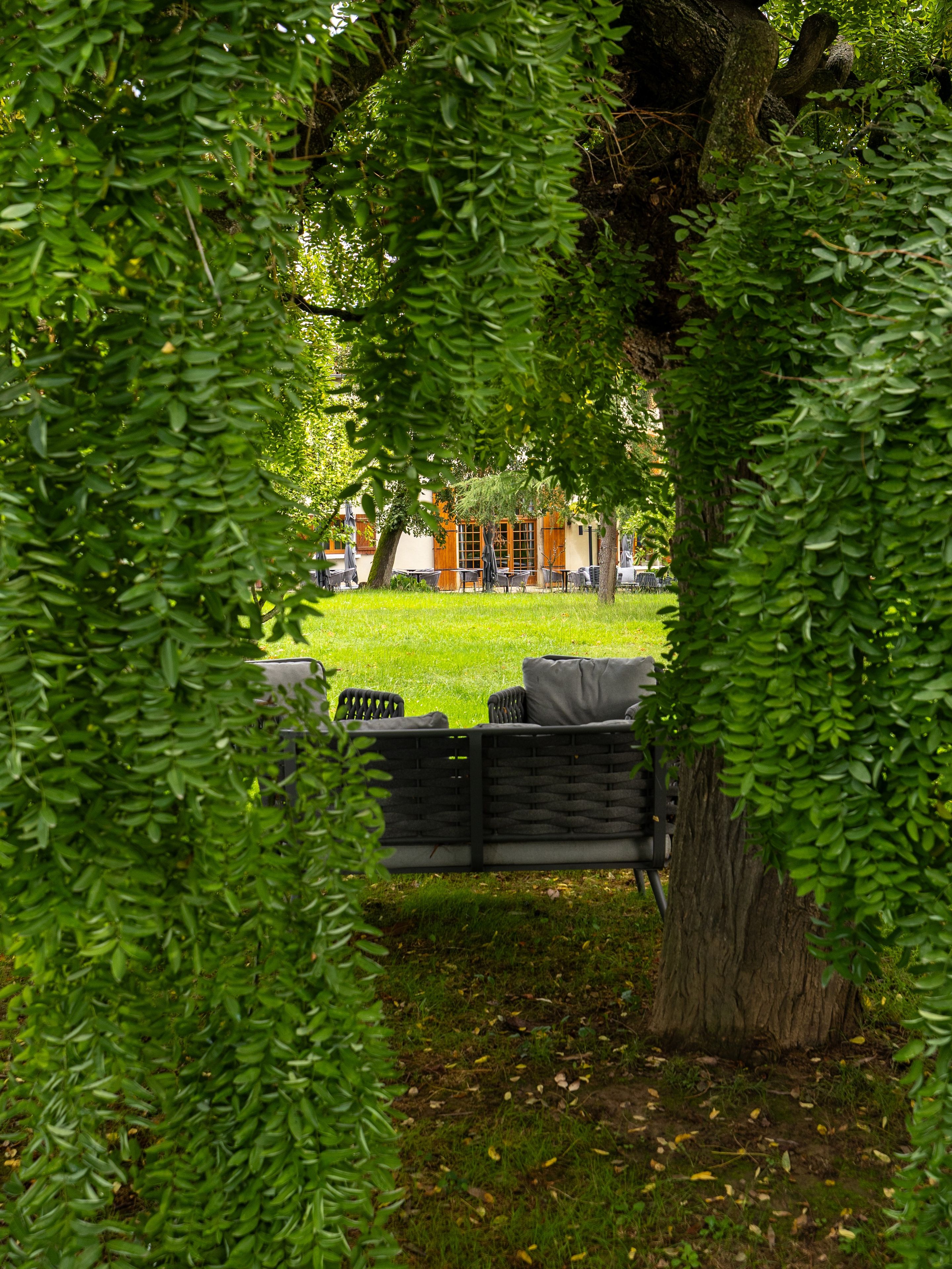 Zona de jardí amb espai d'estar, un arbre i un edifici al fons.