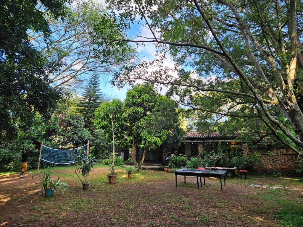 Un espacio al aire libre con una red de bádminton, una mesa y plantas en macetas.