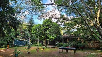 Un espacio al aire libre con una red de bádminton, una mesa y plantas en macetas.
