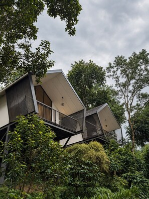 A modern building with a unique angular design, surrounded by lush greenery. - BREEZ WYNA (Kalpetta)