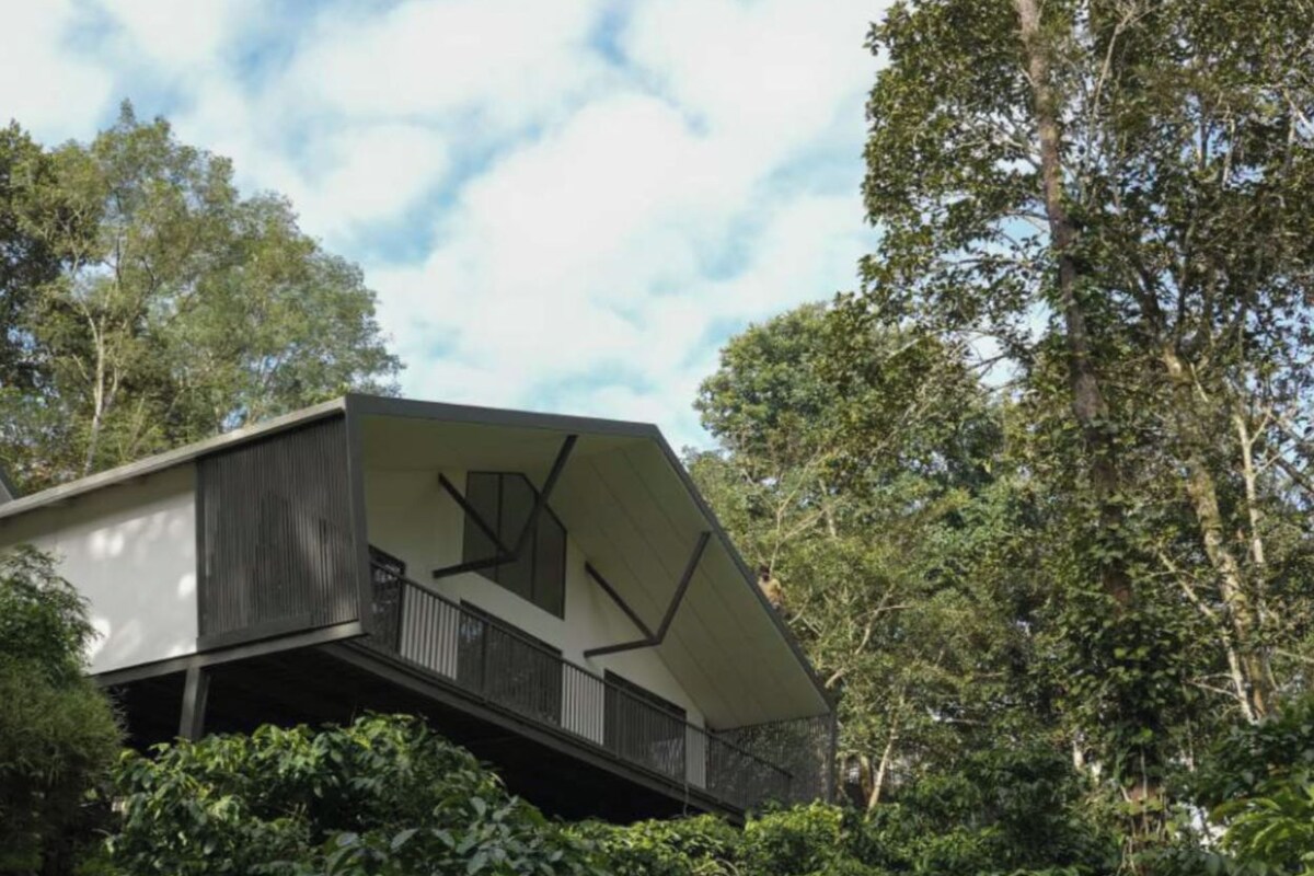 A modern building with a sloped roof, surrounded by dense greenery.