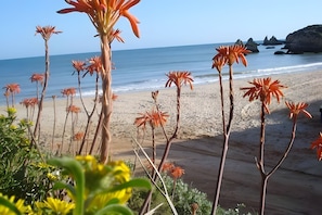 A beach with tall plants and a view of the ocean. - Casa / villa - 6  stanze(con aria condizionata e bagno privato), 4-12 persone (Alvor)