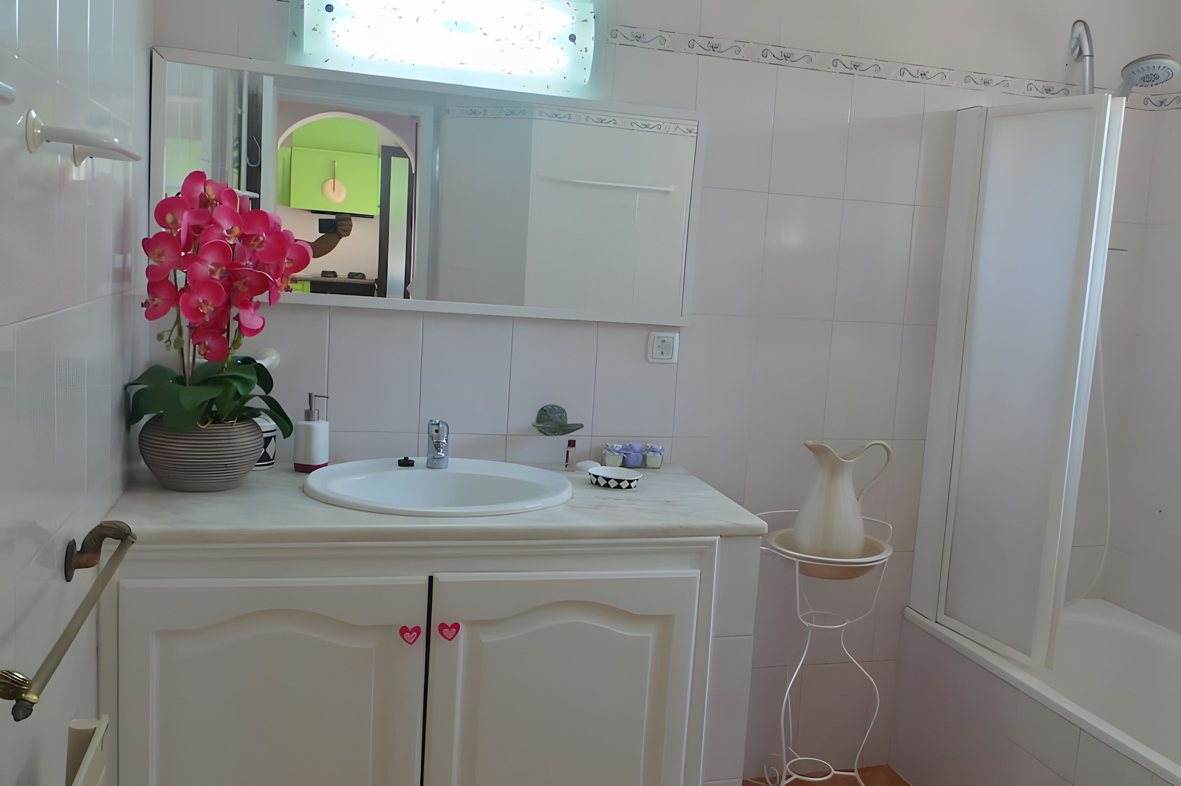 Een badkamer met een witte wastafel, een spiegel, een potorkidee en een douchehoek.