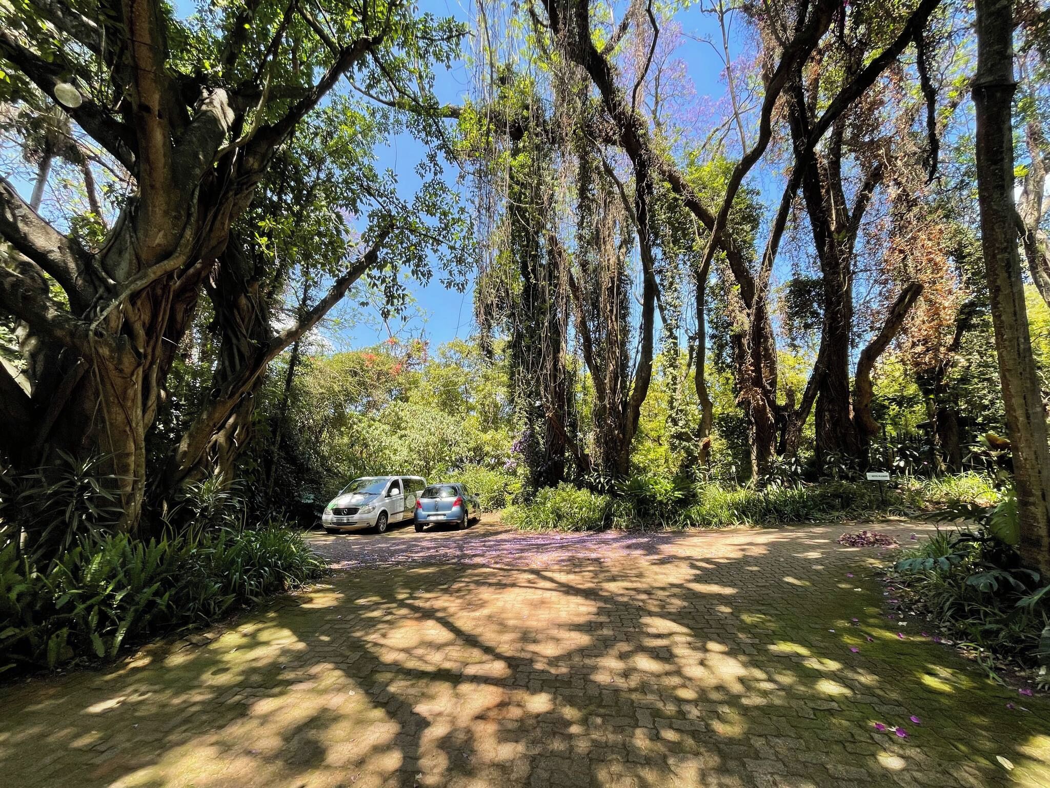 Un sendero pavimentado en un área boscosa con dos coches estacionados.