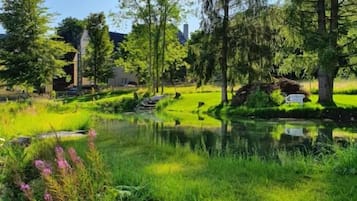 Un parque tranquilo con un estanque, abundante vegetación y árboles altos.