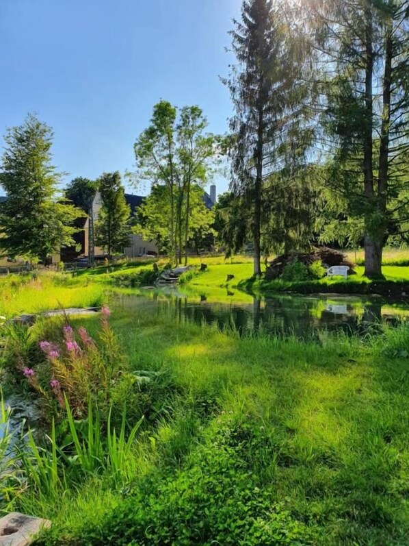 A serene park with a pond, lush greenery, and tall trees.